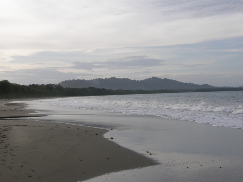 P2170842.jpg