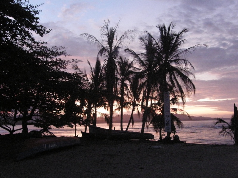 P2170851.jpg