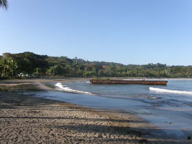 P2170864.jpg