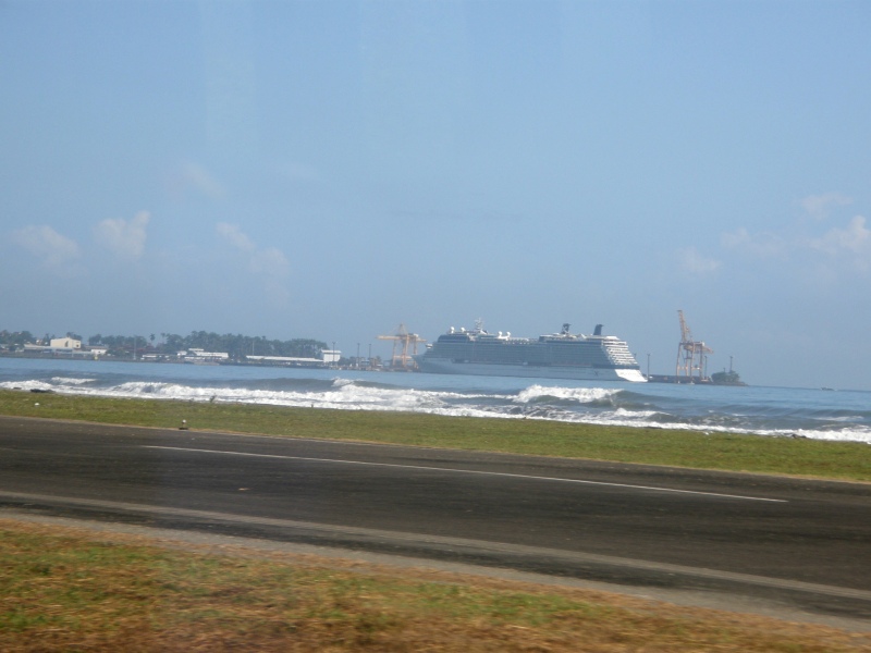 P2181041.jpg