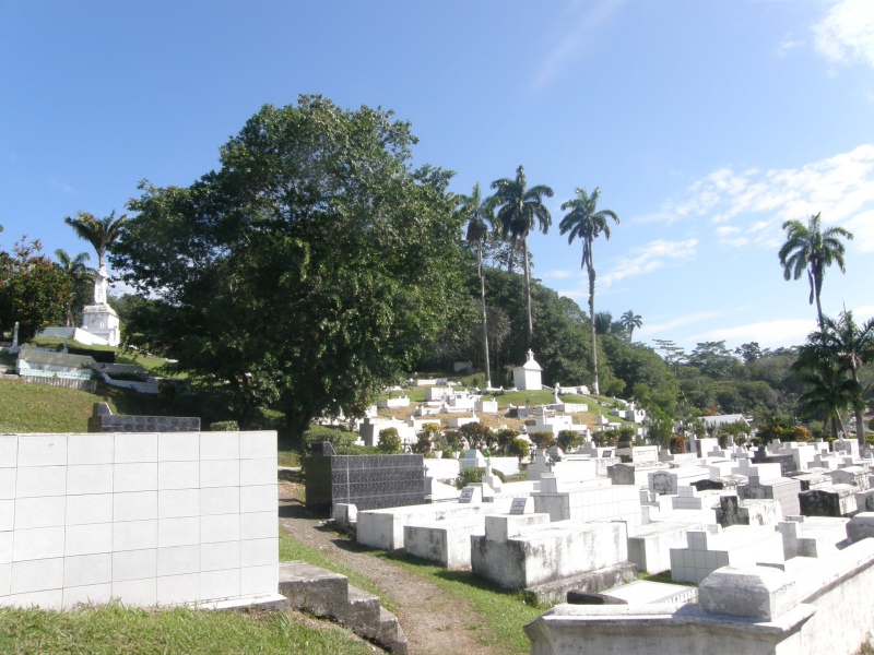 P2181052.jpg