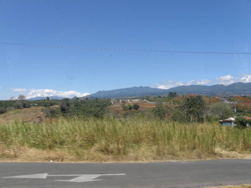 P2181071.jpg