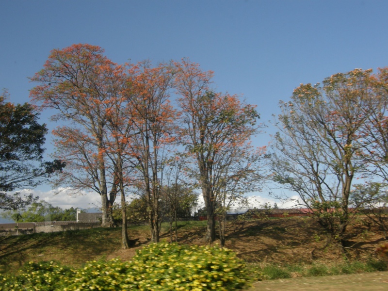 P2181132.jpg