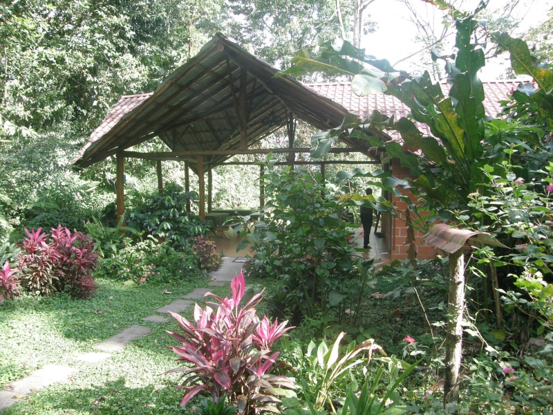 P2191193.jpg