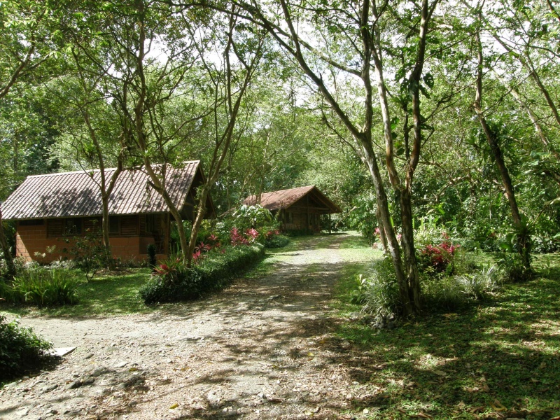 P2191252.jpg