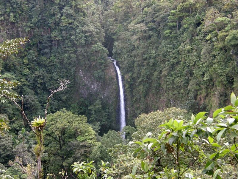 P2191292.jpg
