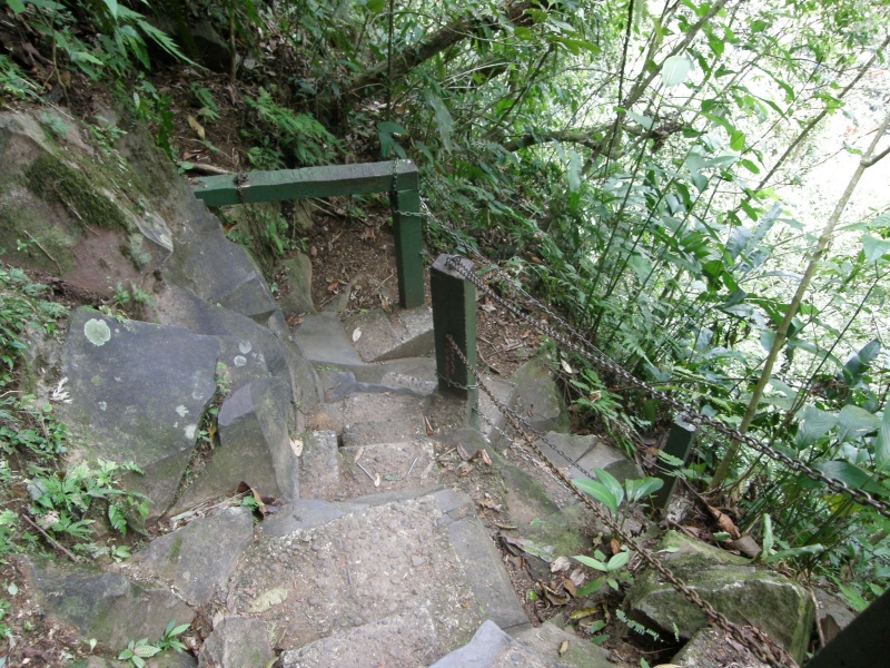 P2191342.jpg