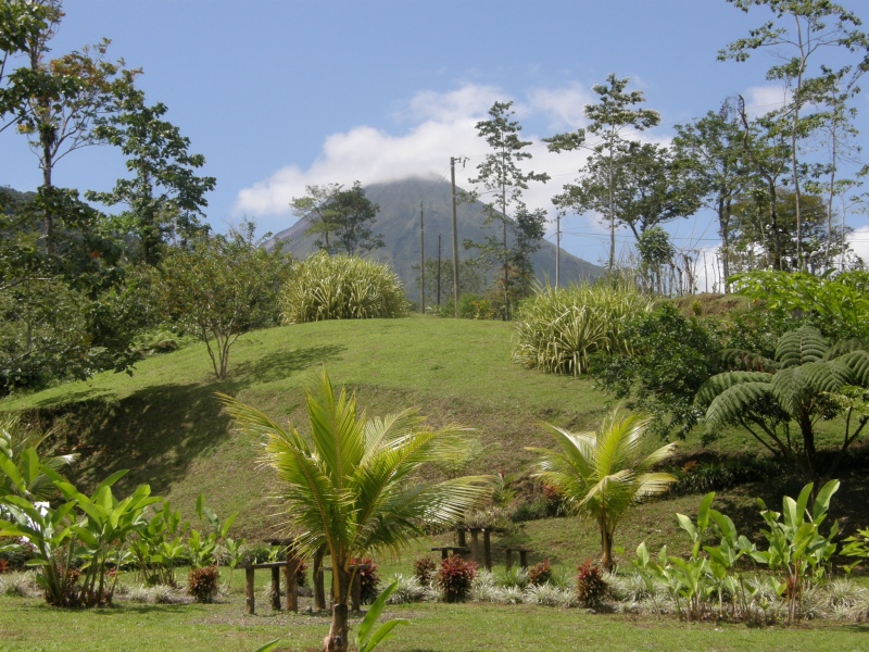 P2191343.jpg