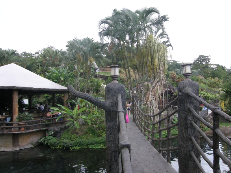 P2191429.jpg