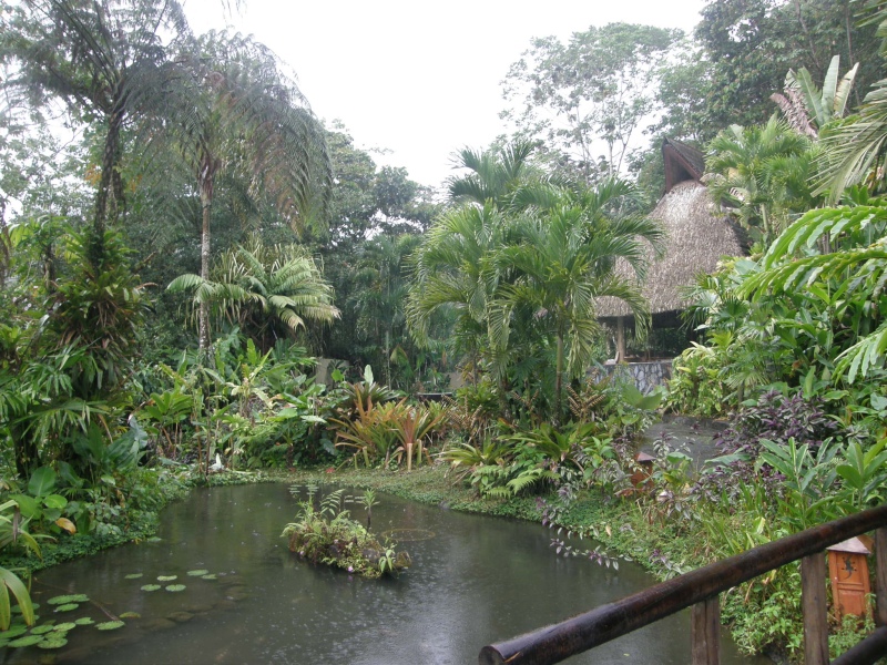 P2201520.jpg