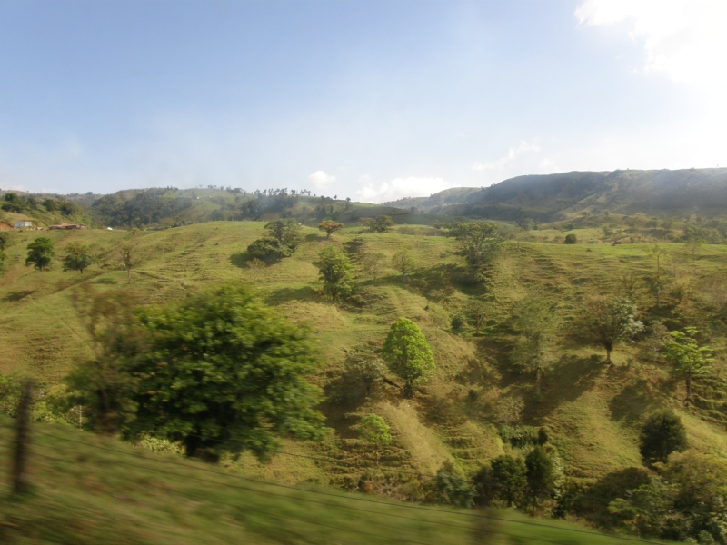 P2201594.jpg