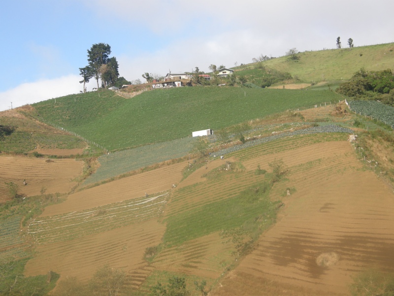 P2201600.jpg