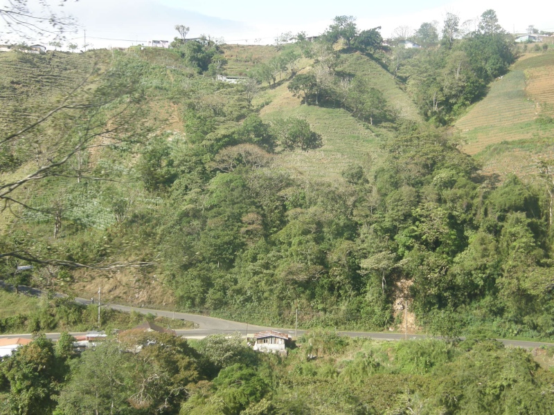 P2201602.jpg