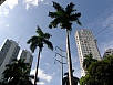 P2110017.jpg