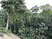P2110175.jpg