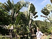 P2120201.jpg