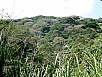 P2120223.jpg