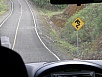 P2130315.jpg
