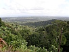 P2130321.jpg