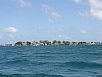 P2130346.jpg