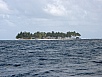 P2130368.jpg