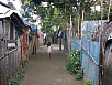 P2140492.jpg