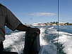 P2150546.jpg
