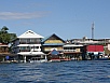 P2150555.jpg