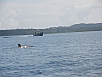 P2150565.jpg