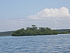 P2150568.jpg