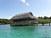 P2150570.jpg