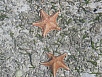 P2150580.jpg