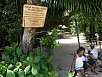 P2150606.jpg