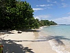 P2150613.jpg