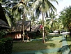P2160804.jpg