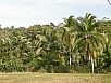 P2160809.jpg