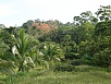 P2170822.jpg