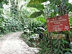 P2170833.jpg