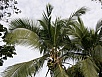 P2170838.jpg