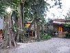 P2170847.jpg