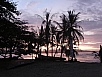 P2170851.jpg