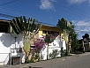 P2170874.jpg