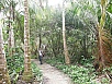 P2170988.jpg