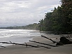 P2171006.jpg