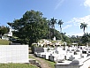 P2181052.jpg