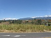 P2181071.jpg