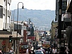 P2181113.jpg