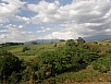 P2181137.jpg
