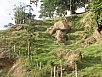 P2191160.jpg