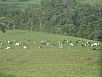 P2191165.jpg